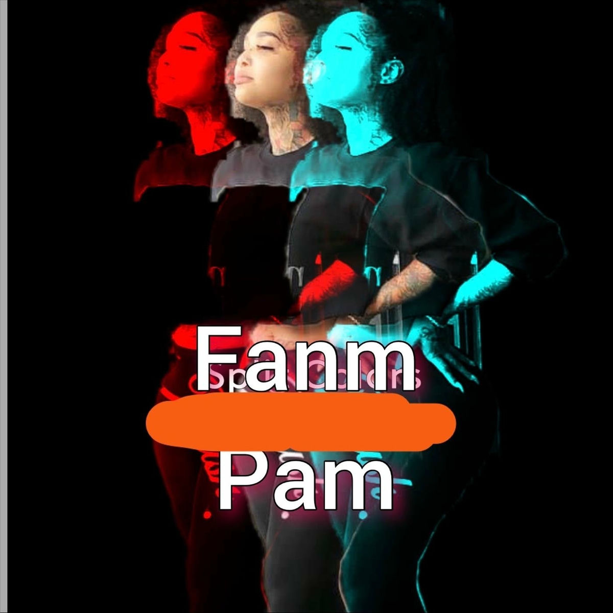 Album cover of Fanm Pam