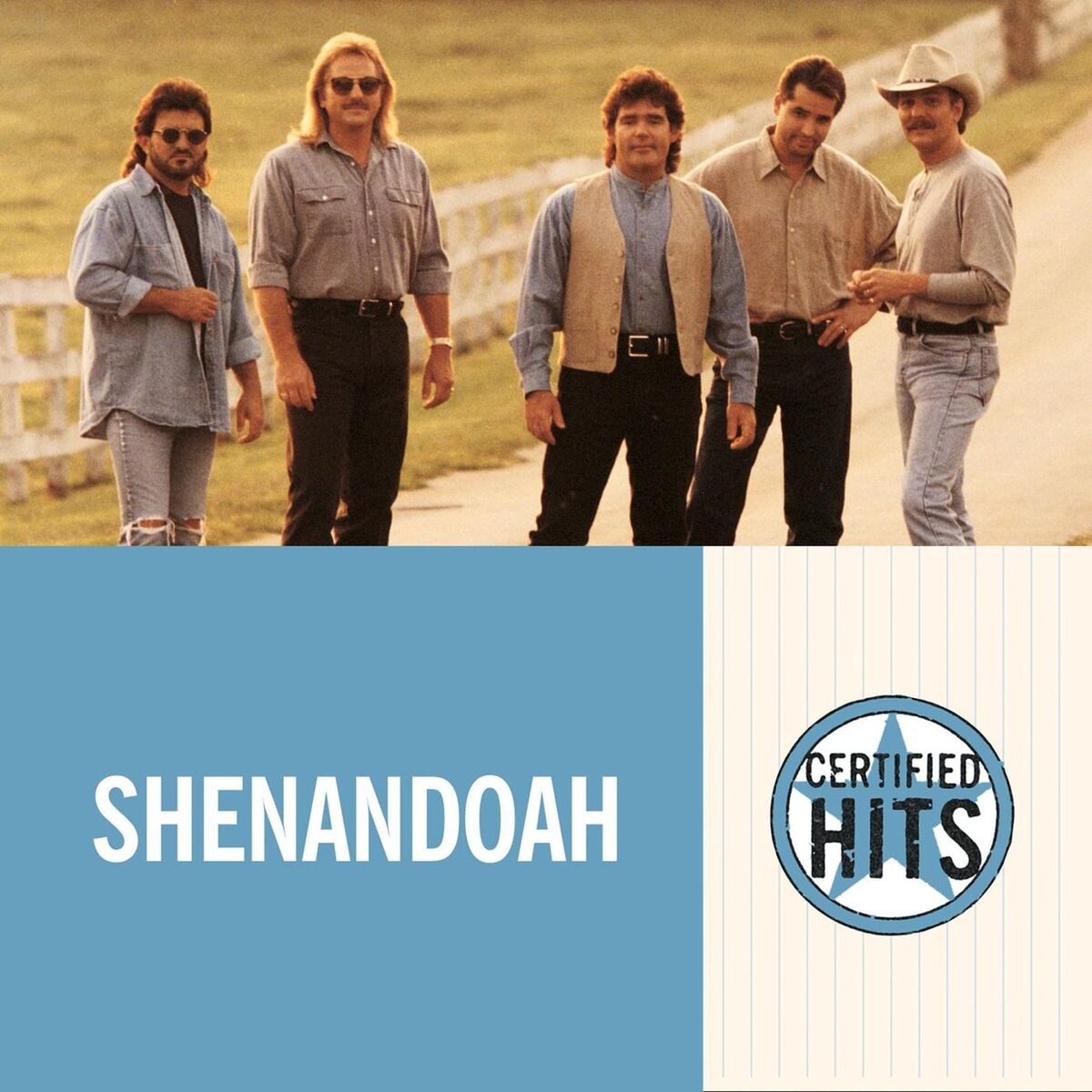 Album cover of Certified Hits
