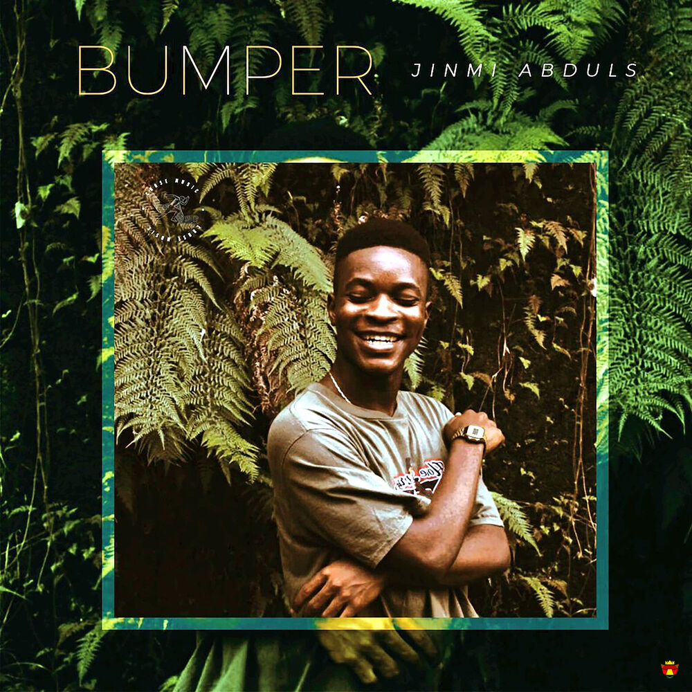 Picture of Bumper