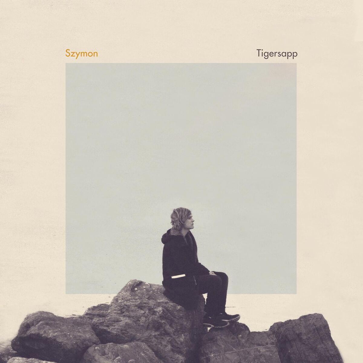 Album cover of Tigersapp