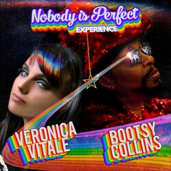 Cover of Nobody Is Perfect Experience