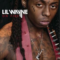 Cover of On Fire