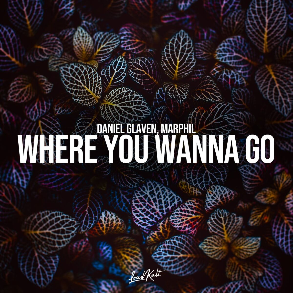 Album cover of Where You Wanna Go