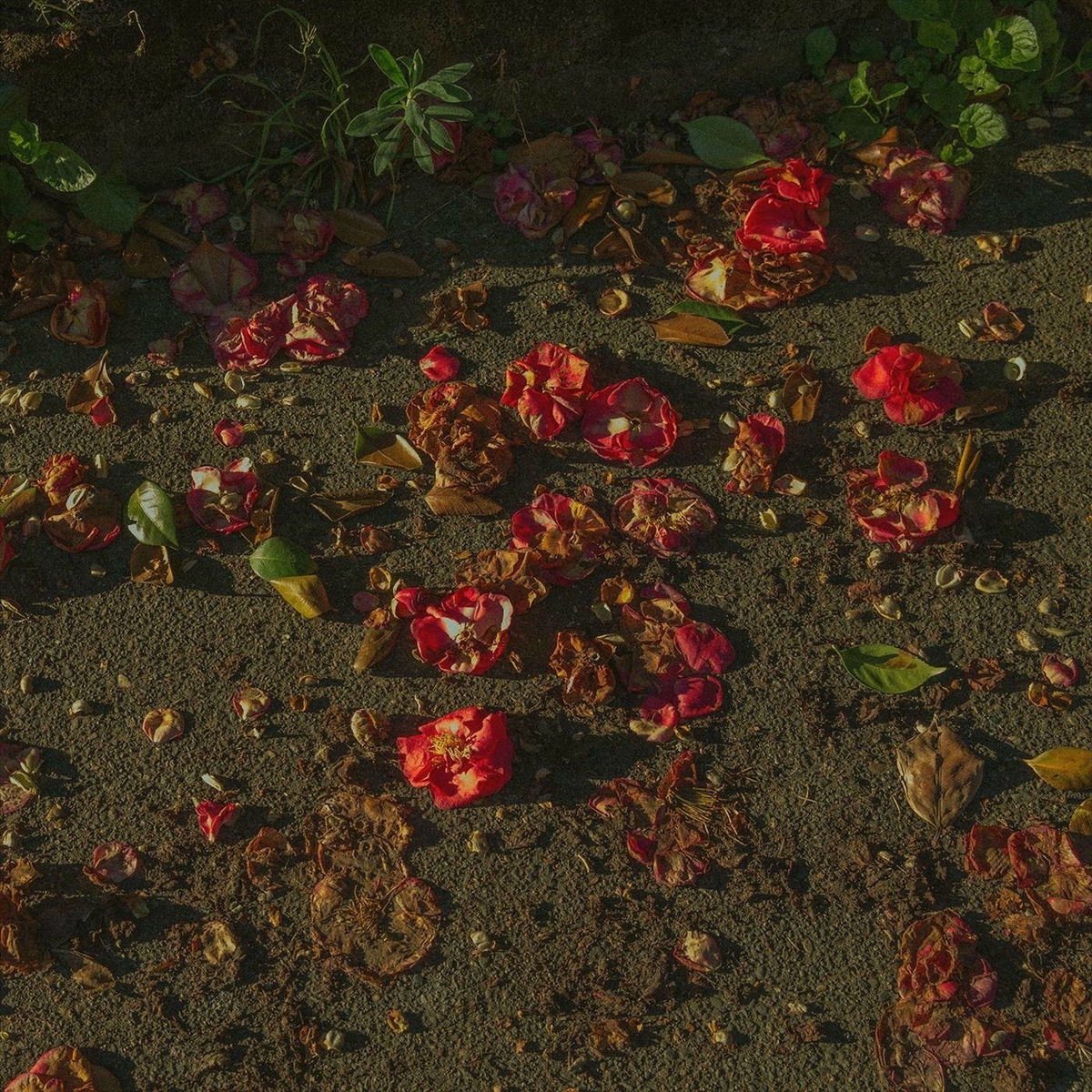 Album cover of It's a Wonderful Life