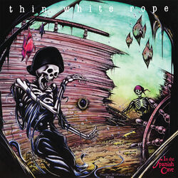 Cover of In the Spanish Cave