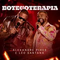Botecoterapia