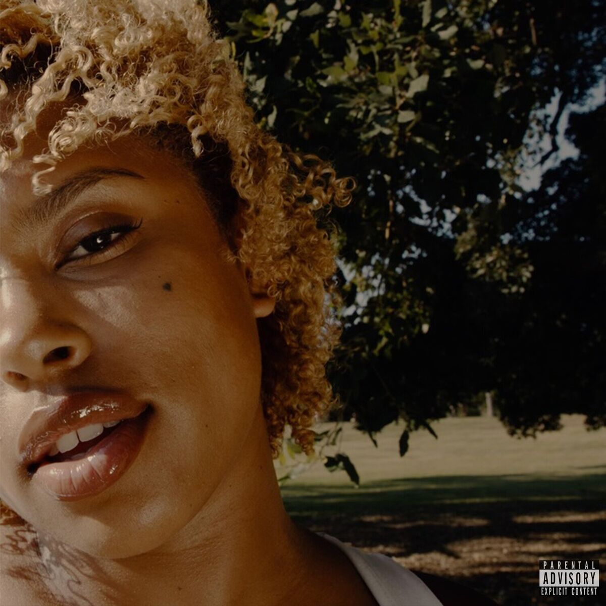 Album cover of Why Would I