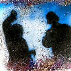 Cover of skydiiiving