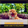 Dummsdorfer Elegie