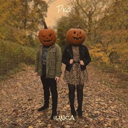 Cover of Pko