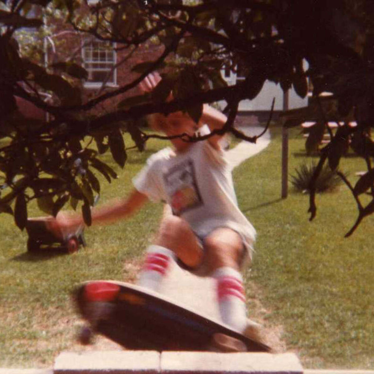 Album cover of Wavvves