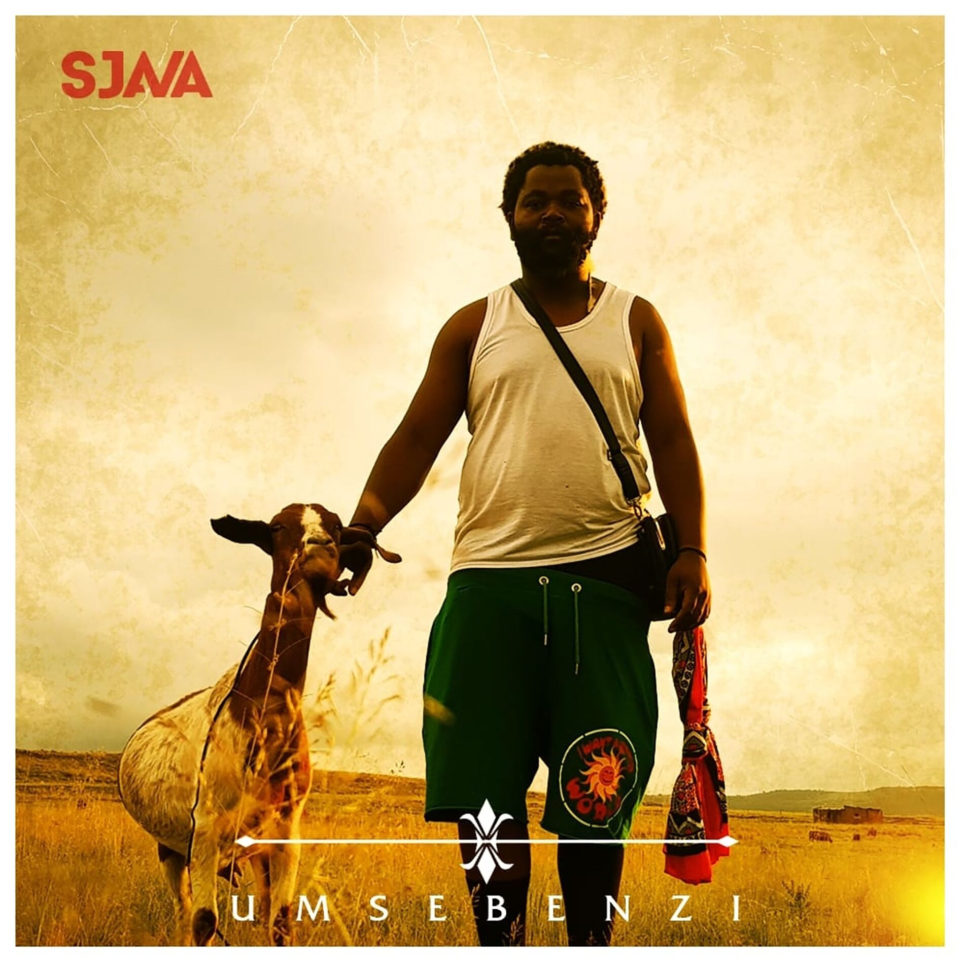 Album cover of Umsebenzi