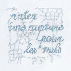 Cover of Rater une rupture pour les nuls