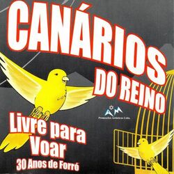 Cover of Livre para Voar (Ao Vivo)