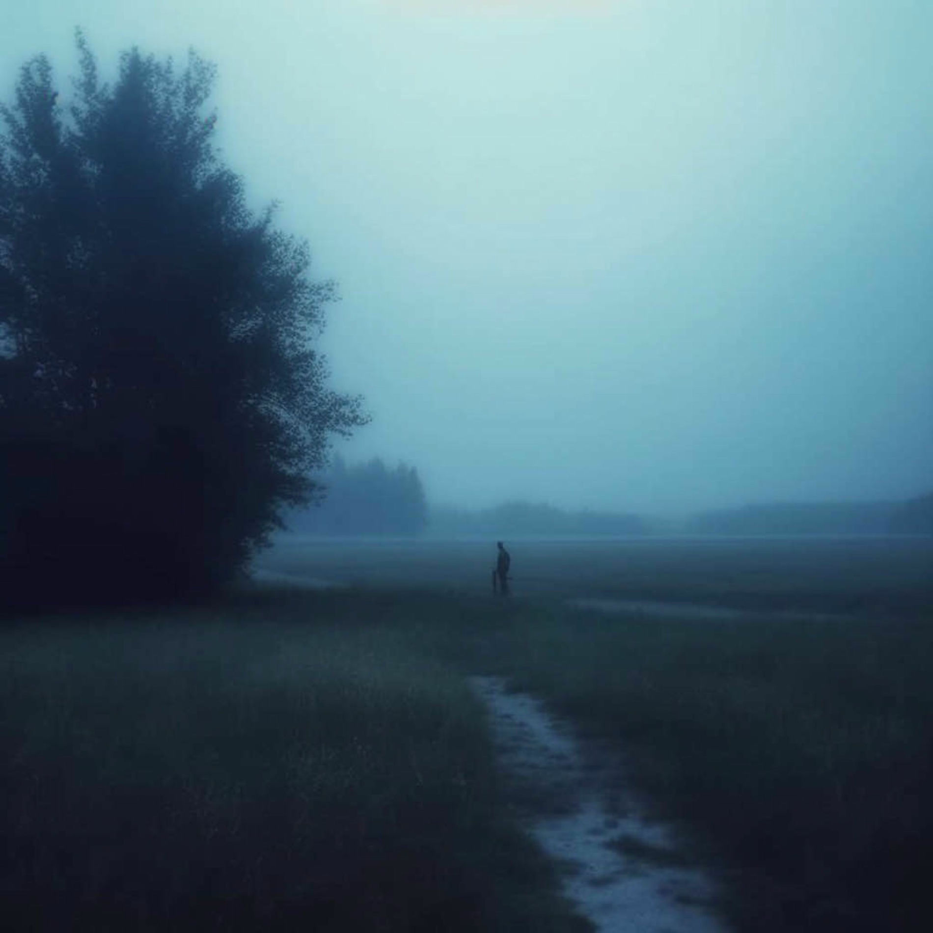 Album cover of still here, but not really
