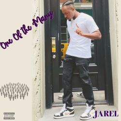 Cover of One Of The Many