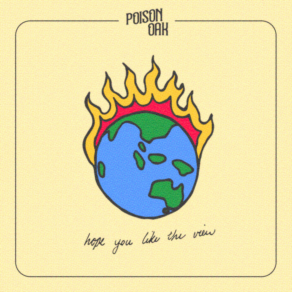 Hope You Like The View artwork