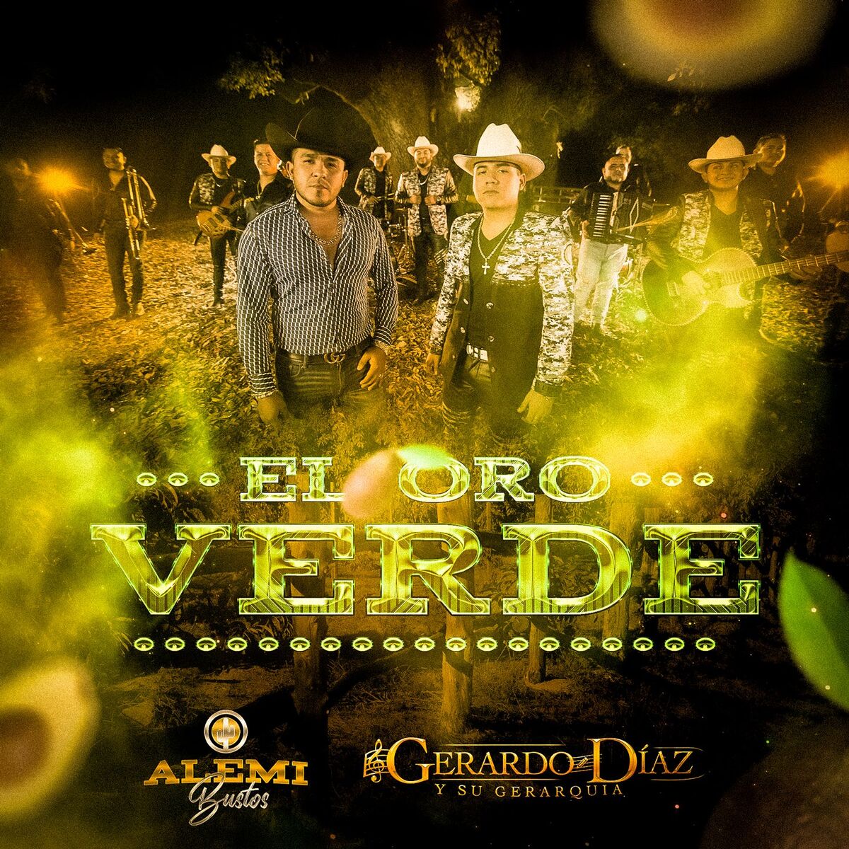 Album cover of El Oro Verde