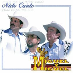 Cover of Nido Caído