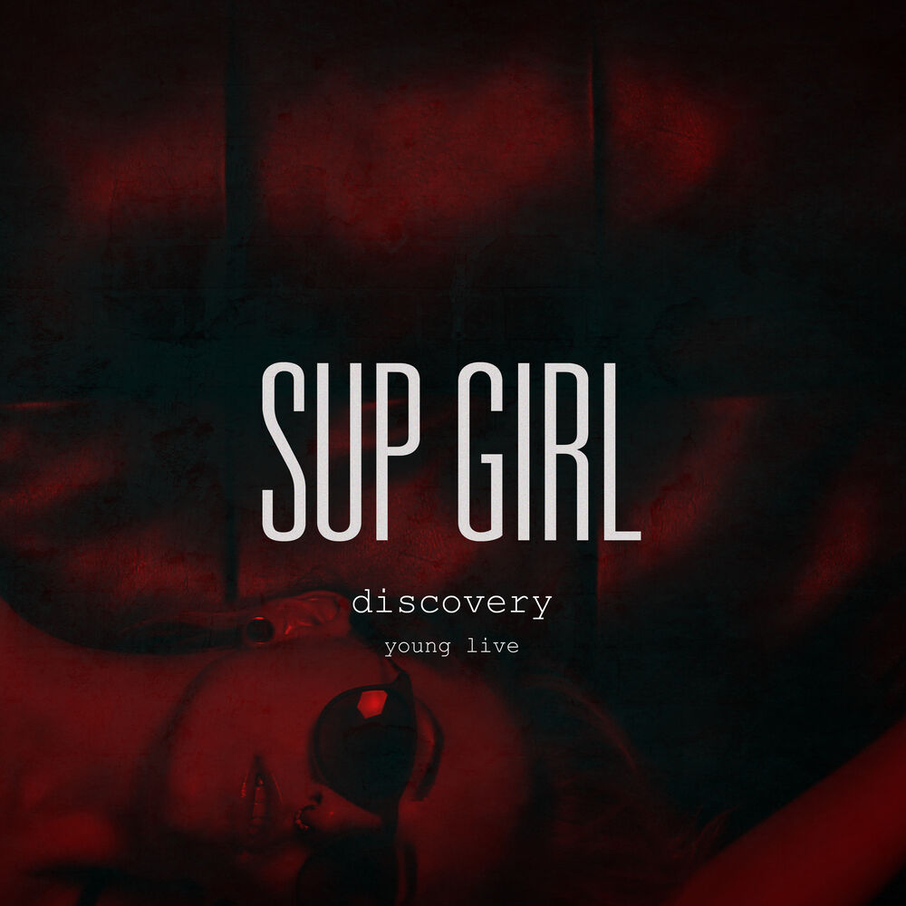 Picture of Discovery