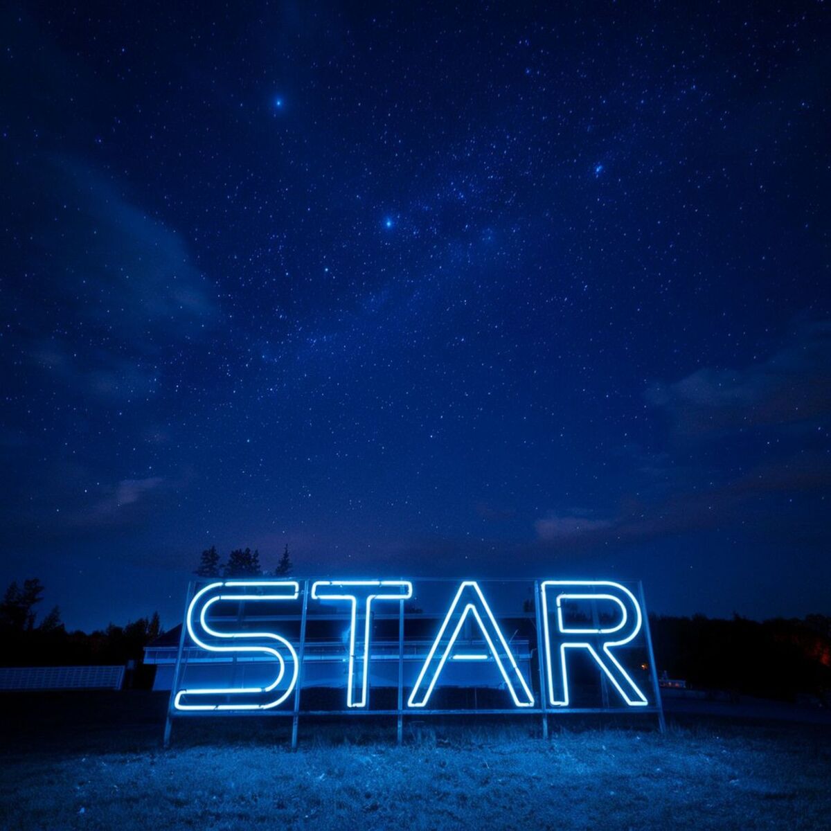 Album cover of Star