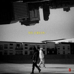 Cover of No Cryin’