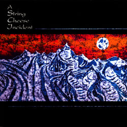 Cover of A String Cheese Incident