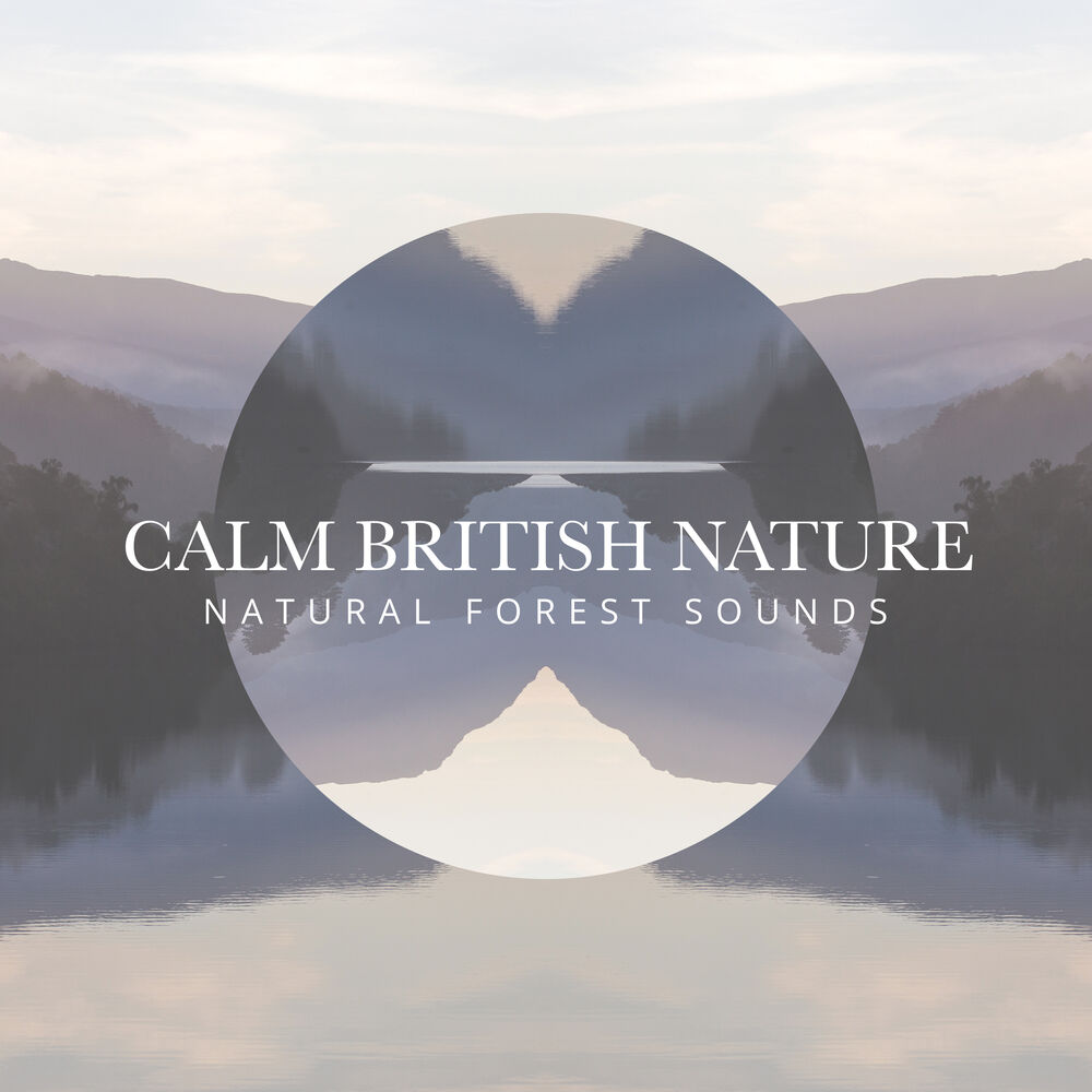 Picture of Calm British Nature
