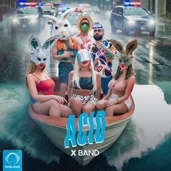 Cover of Acid
