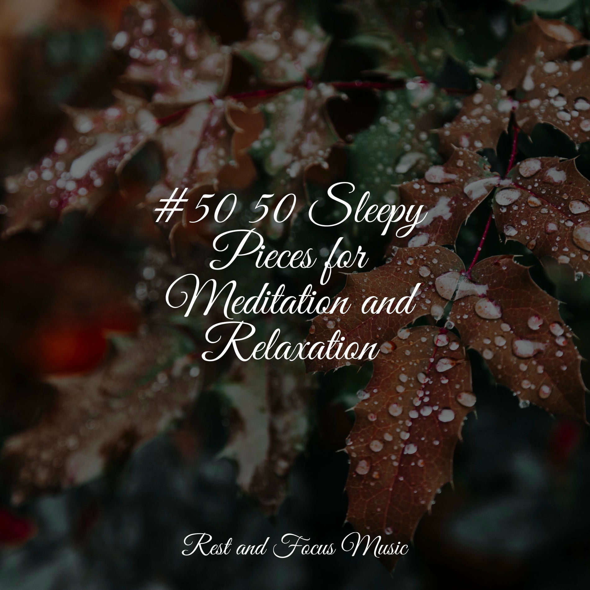 Album cover of #50 50 Sleepy Pieces for Meditation and Relaxation