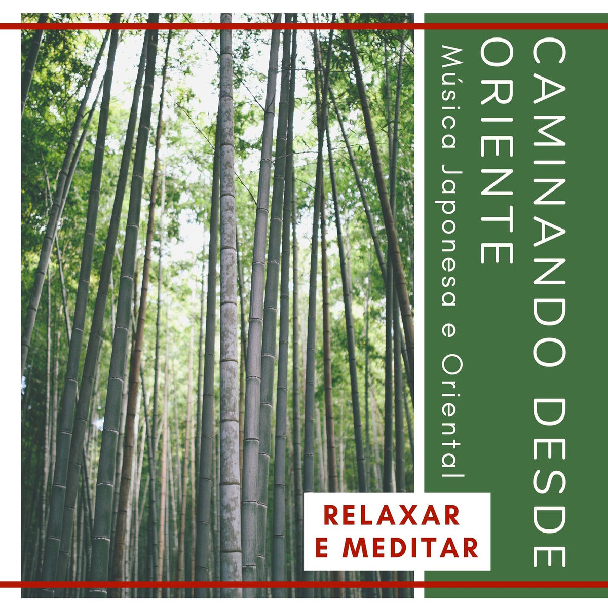 Album cover of Caminando desde Oriente: Música Japonesa e Oriental para Acalmar Alma, Relaxar e Meditar