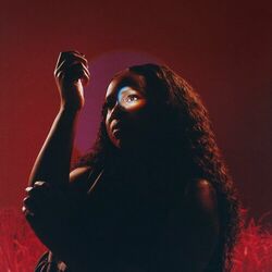 Cover of Elevate