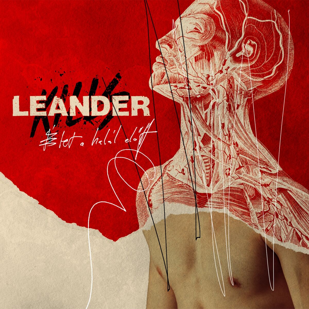 Album cover of Fájdalom Elvitelre