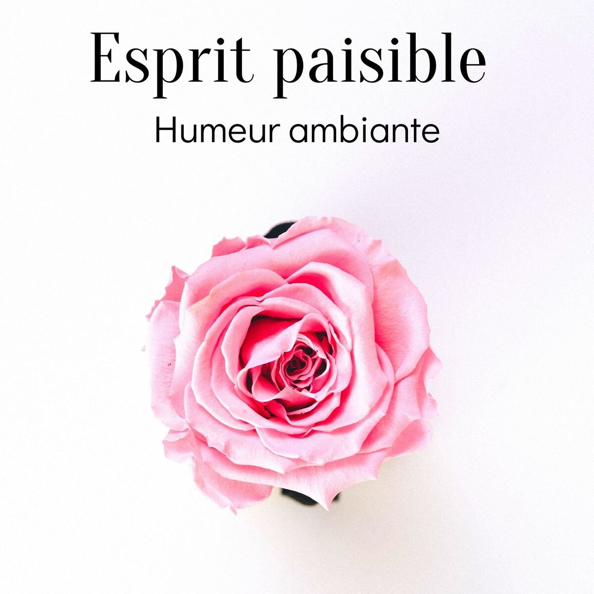 Album cover of Esprit paisible: Humeur ambiante - La nature sonne pour la détente, Dormir, Méditation
