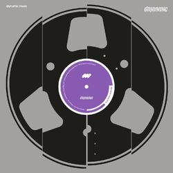 Cover of Flying Pics EP