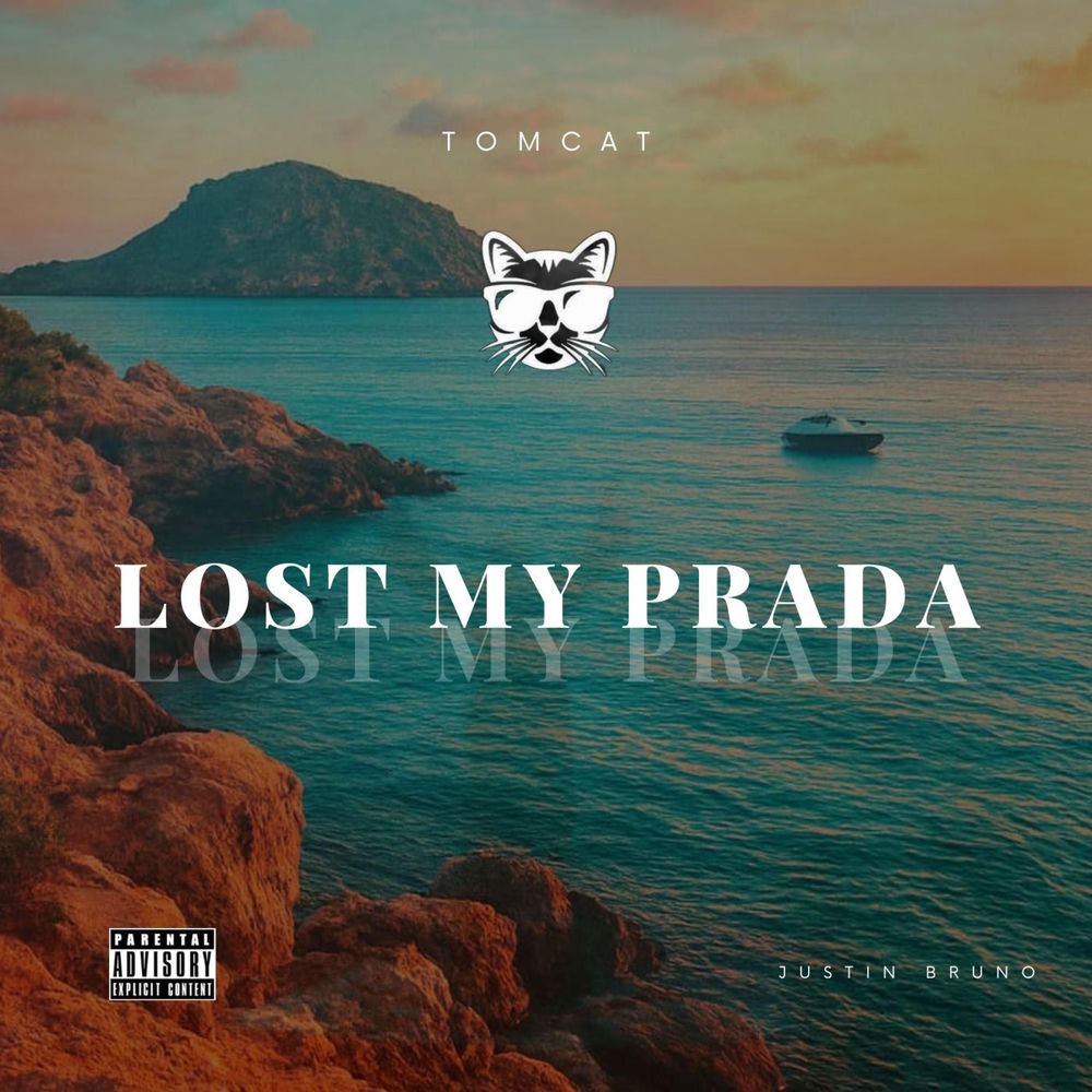 Album artwork for Lost My Prada by TOMCAT