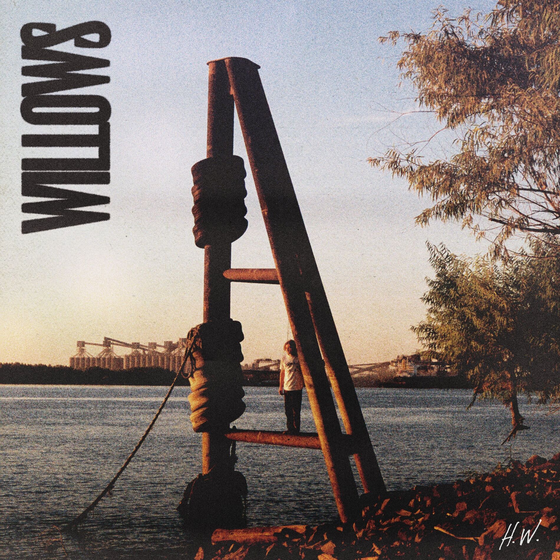 Album cover of Willows