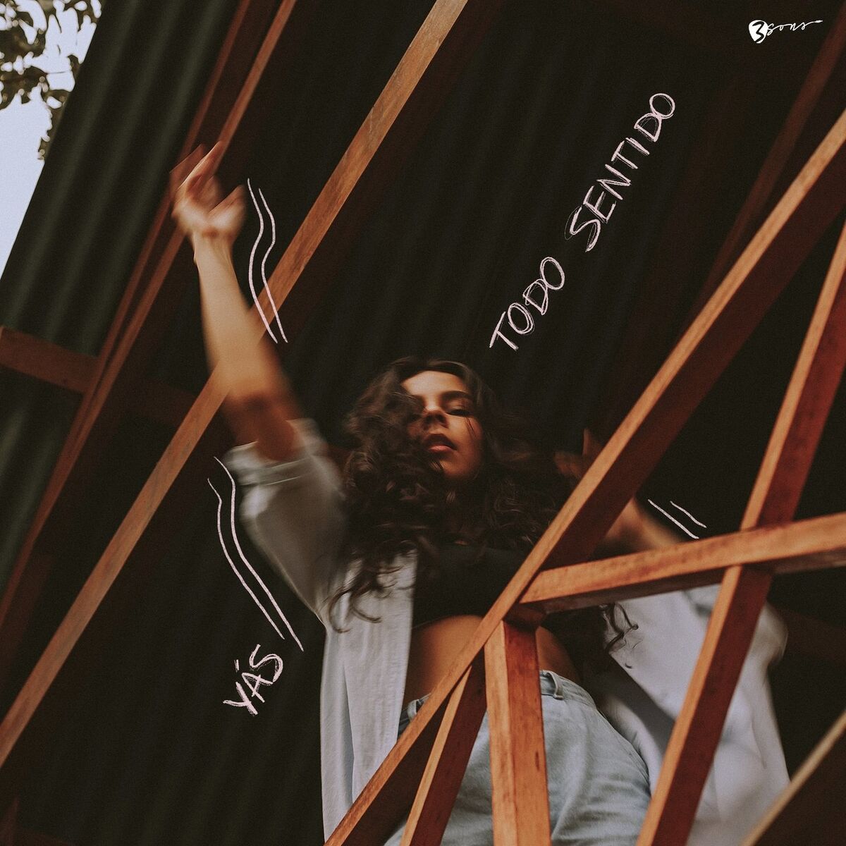 Album cover of Todo Sentido