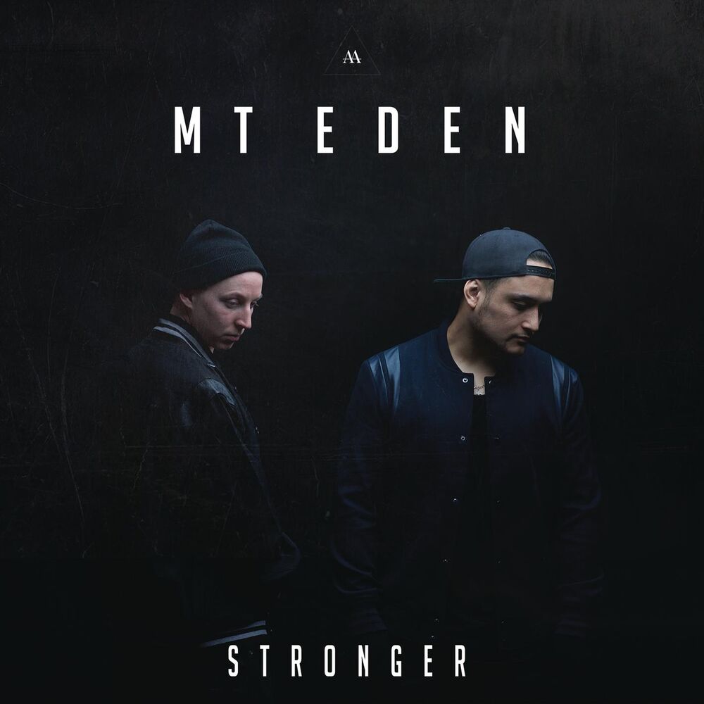 Picture of Stronger