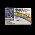 FAKE ID'S