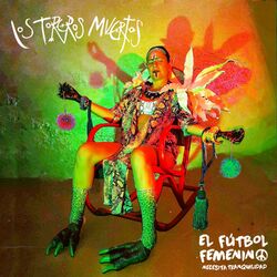 Cover of El fútbol femenino