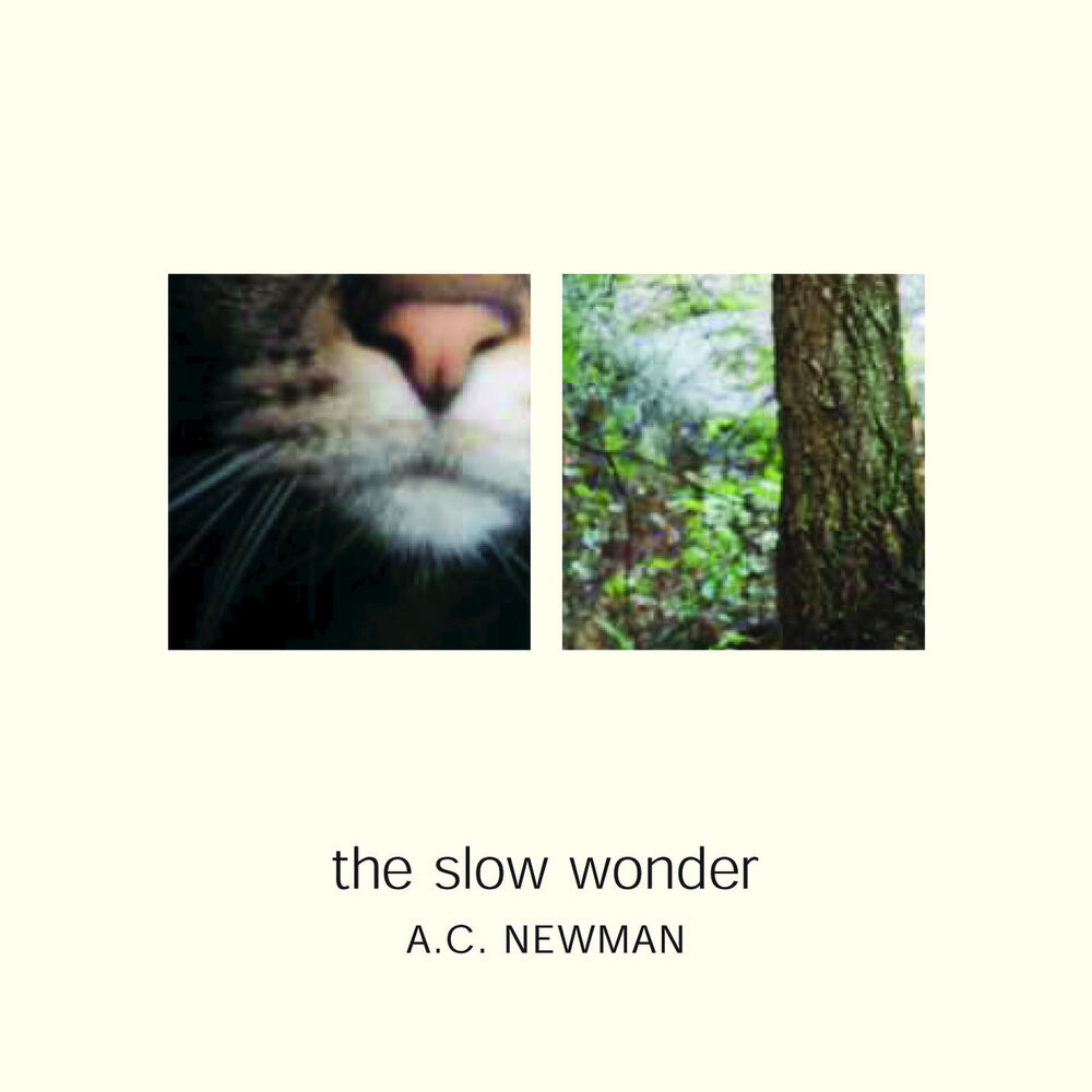 Picture of The Slow Wonder