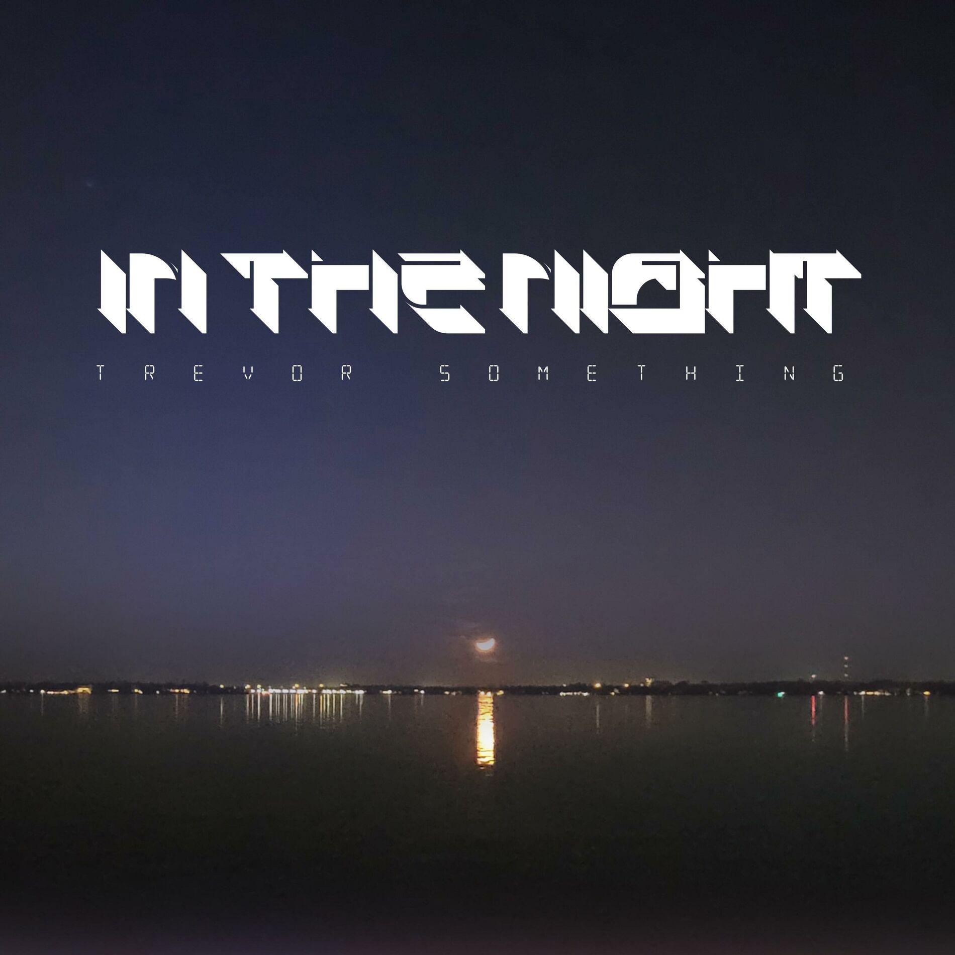 Album cover of In The Night