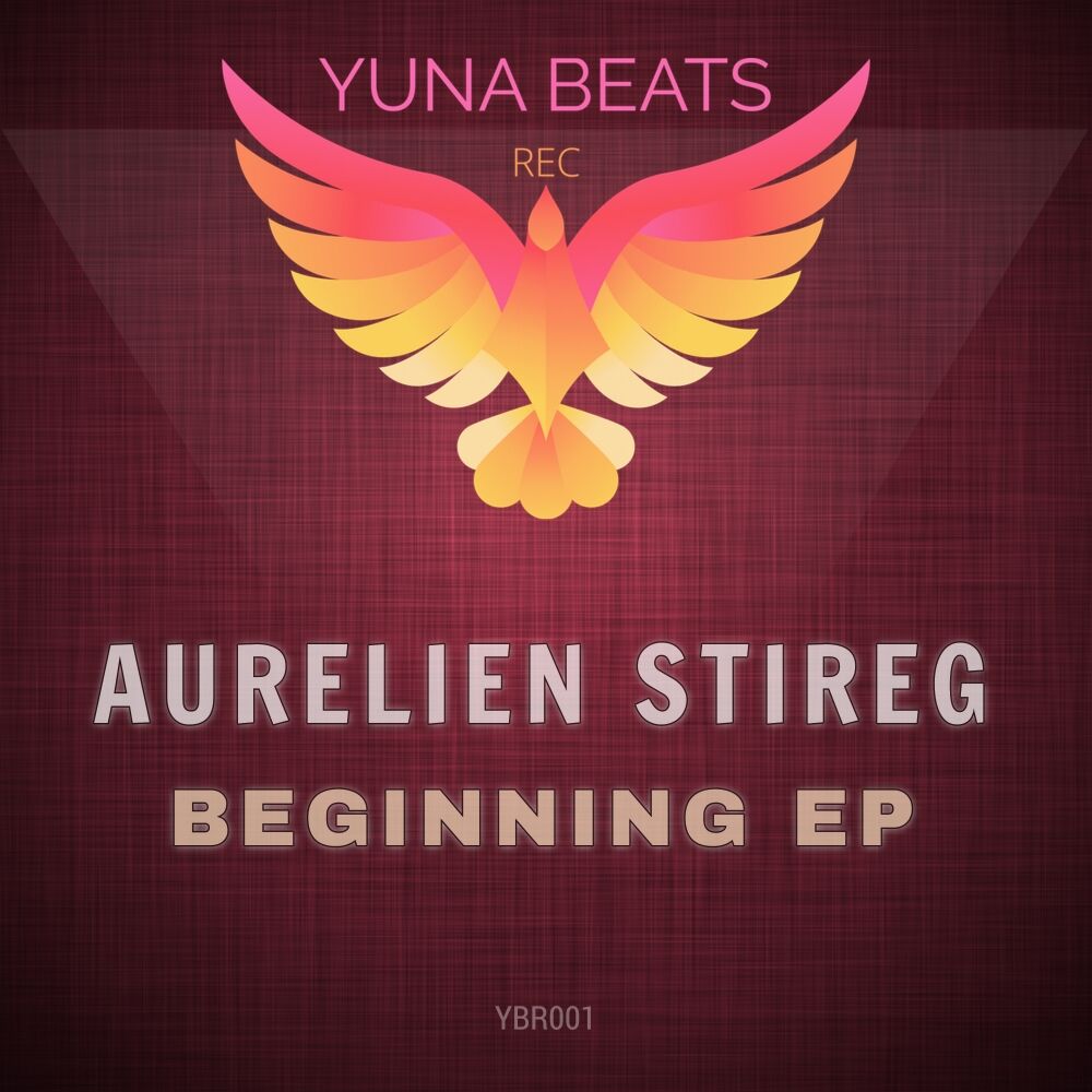 Picture of Beginning EP