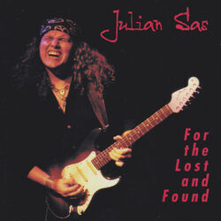 Cover of For the Lost and Found
