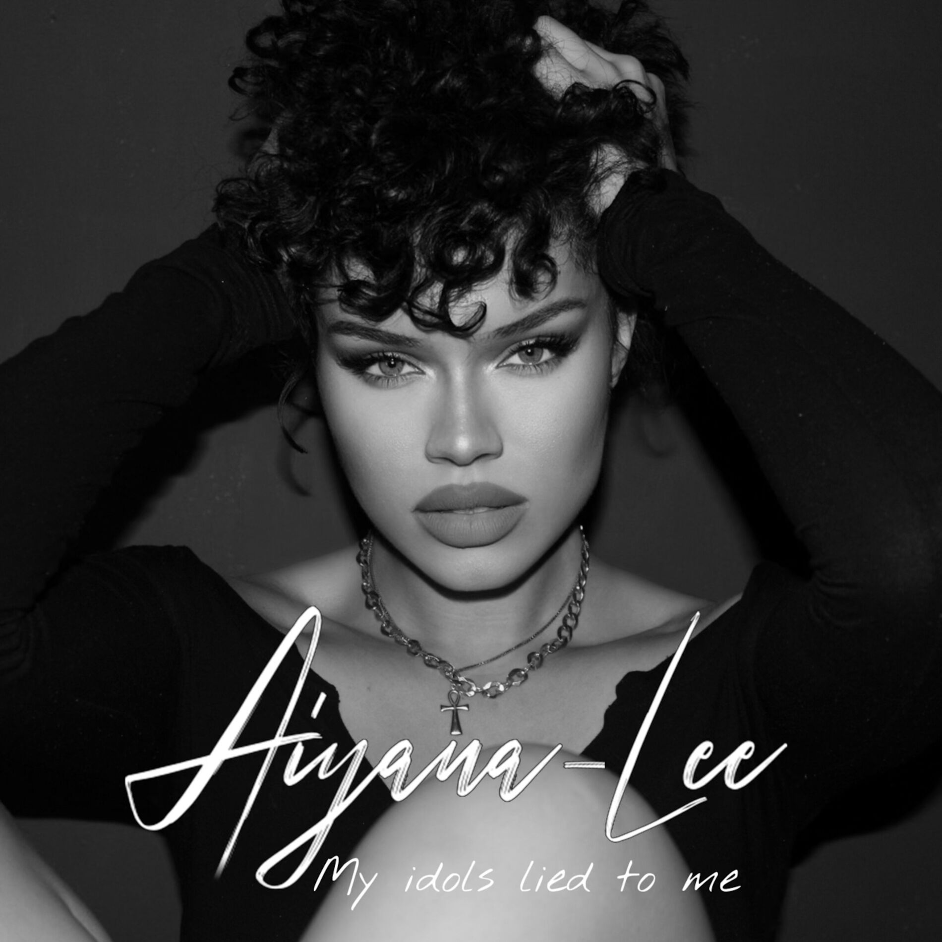 Album cover of My idols lied to me (demo)
