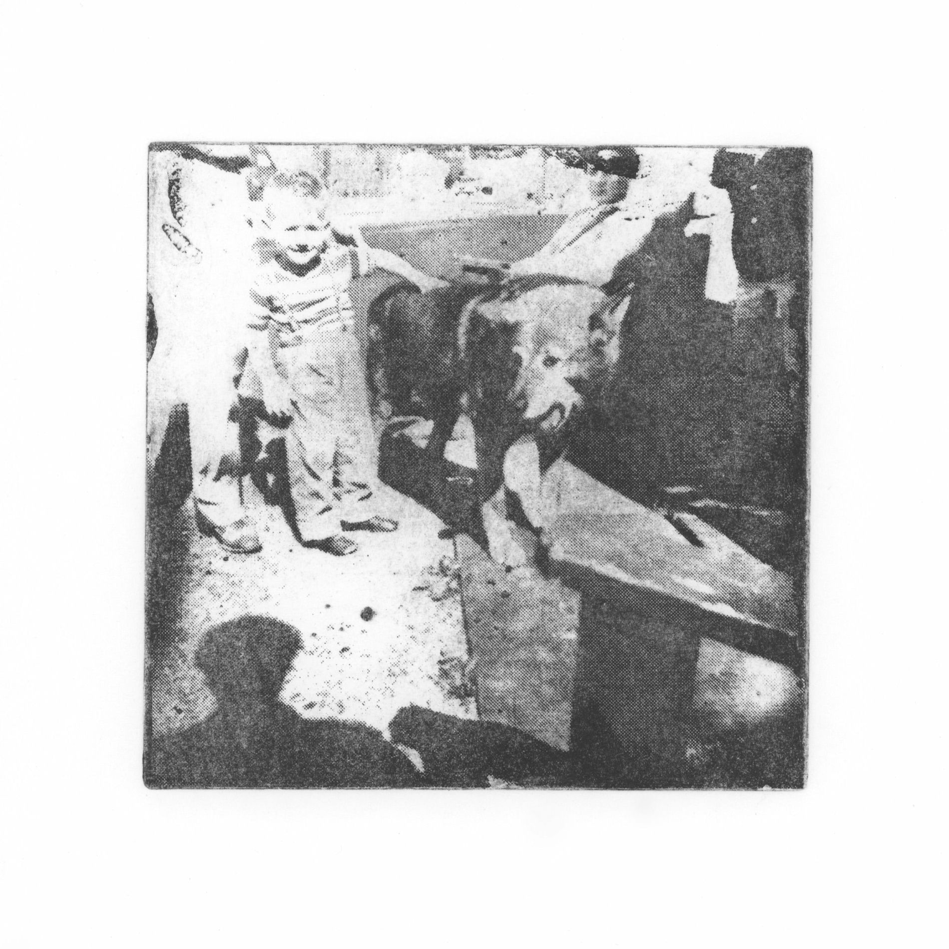 Album cover of Birds Swim Away