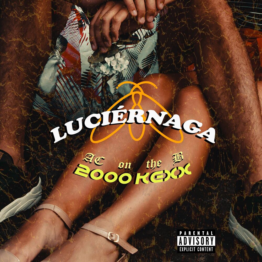 Picture of LUCIÉRNAGA
