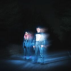 Cover of Mi Sombra