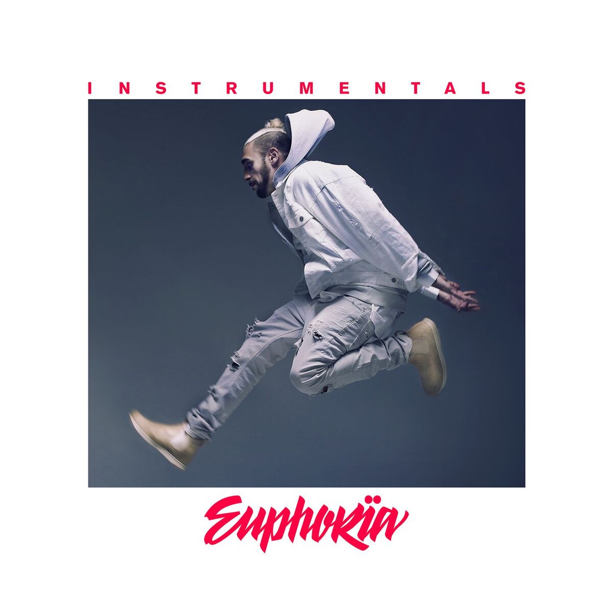 Album cover of Euphoria (Instrumentals)